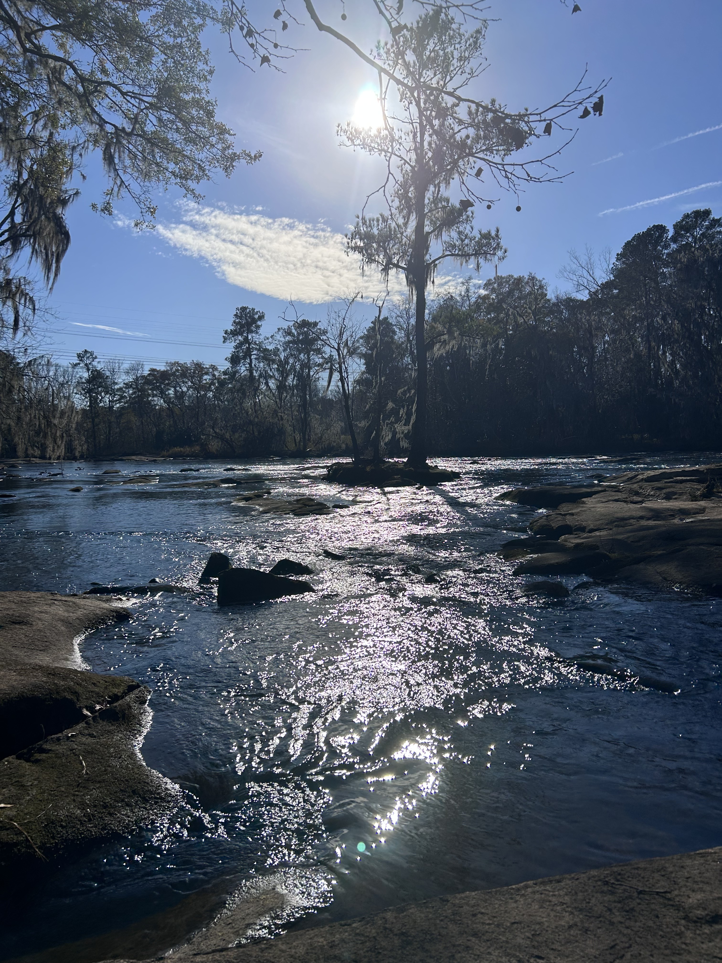 Sunlit river with trees and sparkling water in Columbia, South Carolina