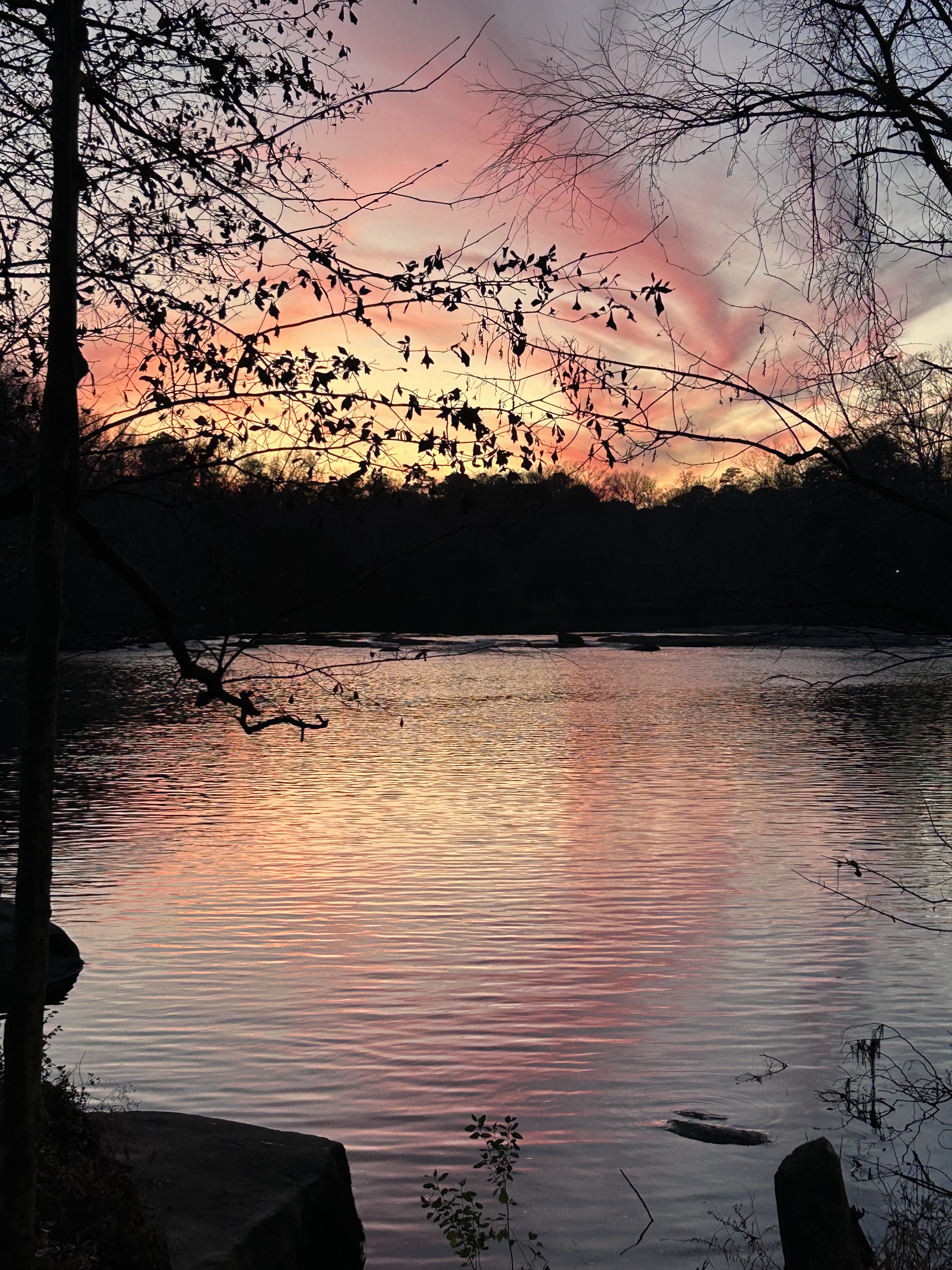 Pink sunset reflected over calm water in Columbia, South Carolina